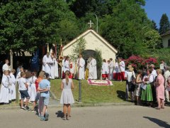 Pfarrei Donaustauf Fronleichnam 2017  (8).JPG